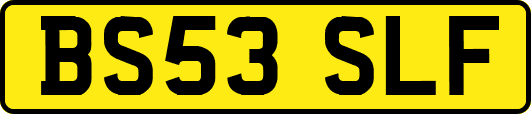BS53SLF