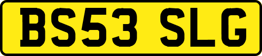 BS53SLG