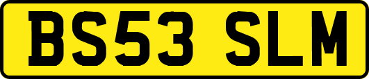 BS53SLM