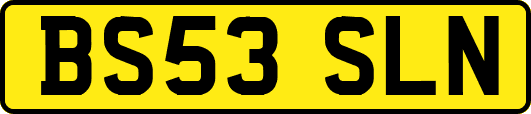 BS53SLN