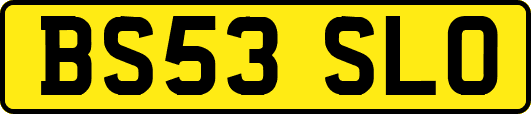 BS53SLO