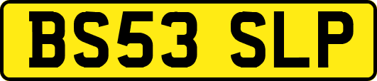 BS53SLP