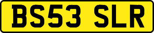 BS53SLR
