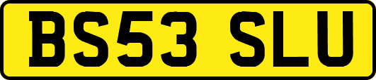 BS53SLU