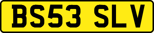 BS53SLV
