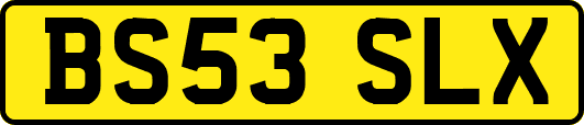 BS53SLX