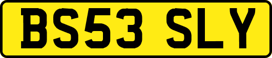 BS53SLY