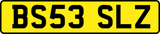 BS53SLZ