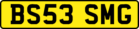 BS53SMG