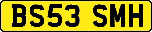 BS53SMH