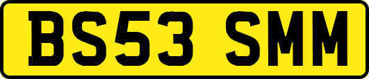 BS53SMM