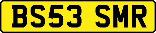 BS53SMR
