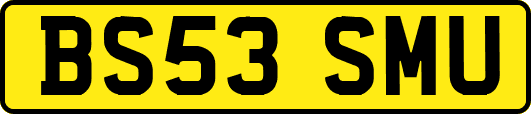 BS53SMU