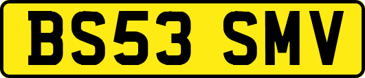 BS53SMV