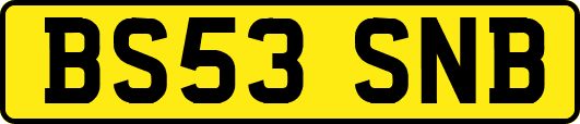 BS53SNB
