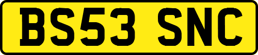 BS53SNC