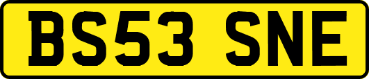 BS53SNE