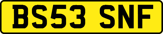 BS53SNF