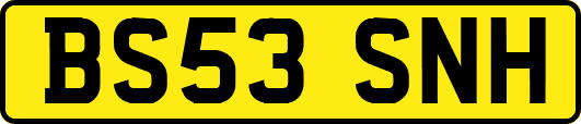 BS53SNH