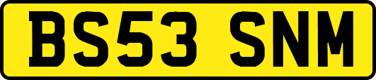 BS53SNM