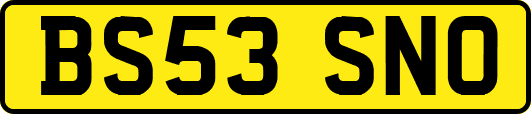 BS53SNO