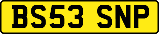 BS53SNP