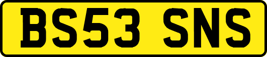 BS53SNS