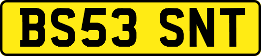 BS53SNT