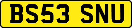BS53SNU