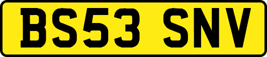 BS53SNV