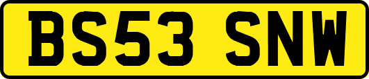 BS53SNW