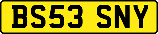 BS53SNY