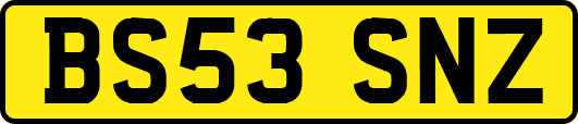 BS53SNZ
