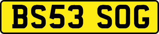 BS53SOG