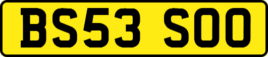 BS53SOO