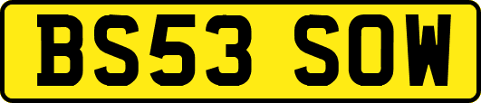 BS53SOW