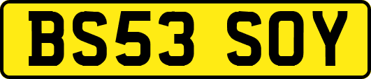 BS53SOY
