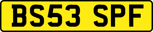 BS53SPF