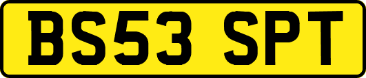 BS53SPT