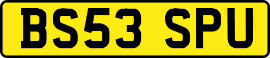 BS53SPU