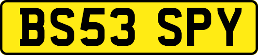 BS53SPY