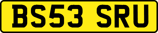 BS53SRU