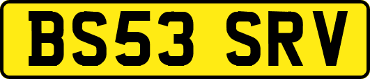 BS53SRV