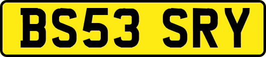 BS53SRY