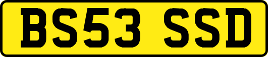 BS53SSD