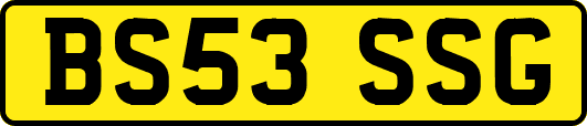 BS53SSG