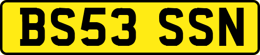 BS53SSN