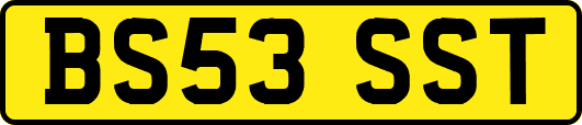 BS53SST