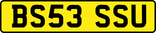 BS53SSU