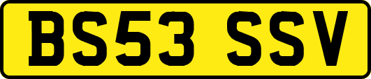BS53SSV